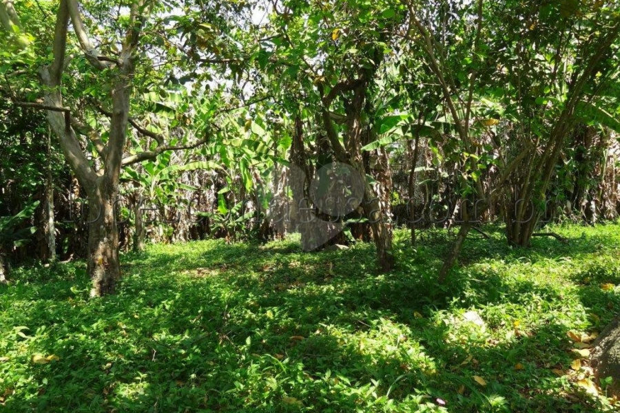 Terreno à venda em Horto Florestal, São Paulo, SP