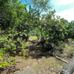 Chácara à venda com 3 quartos em Chácara Sete Cruzes, Suzano, SP