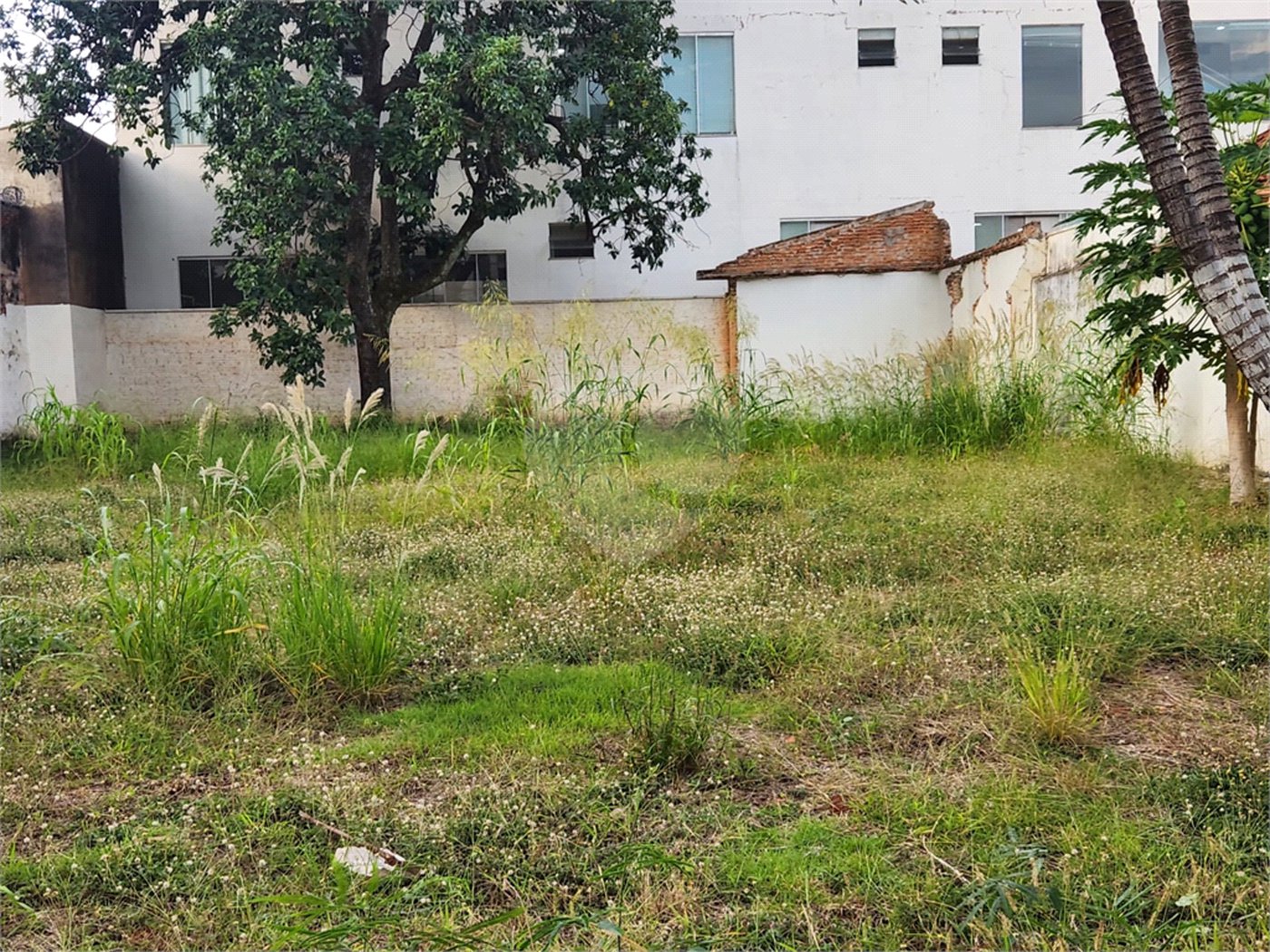 Terreno para alugar no Centro, Araraquara, SP