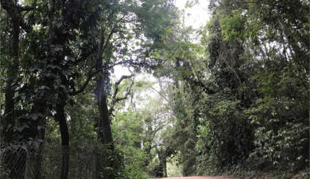 Terreno à venda em Serra da Cantareira, Mairiporã, SP
