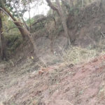Terreno à venda em Jardim Paulista, Atibaia, SP