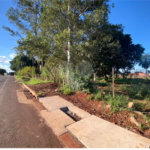 Terreno à venda em Jardim Coimbra, Ponta Porã, MS