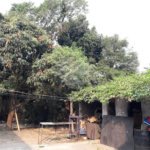 Sobrado à venda com 2 quartos em Jaçanã, São Paulo, SP