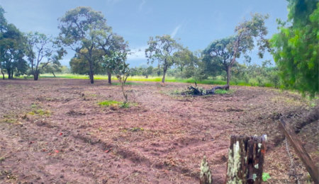 Terreno à venda no Centro, General Salgado, SP