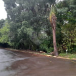 Terreno à Venda no Bairro Nobre Parque Santa Mônica