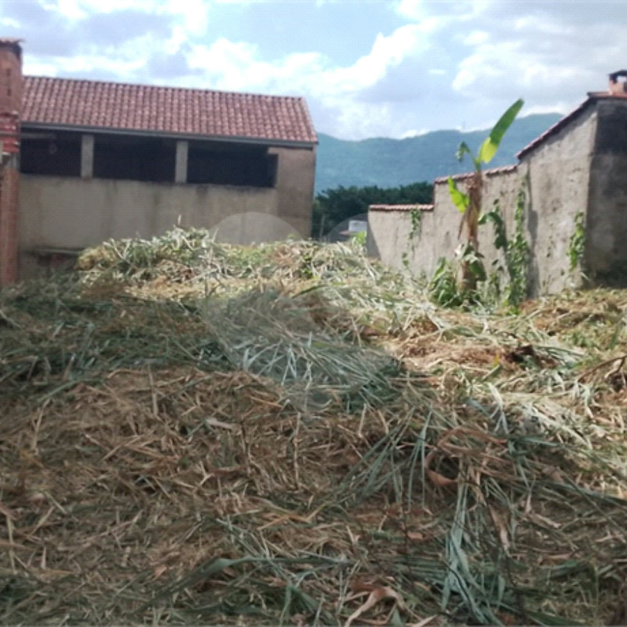 Terreno Plano Bairro Silvestre