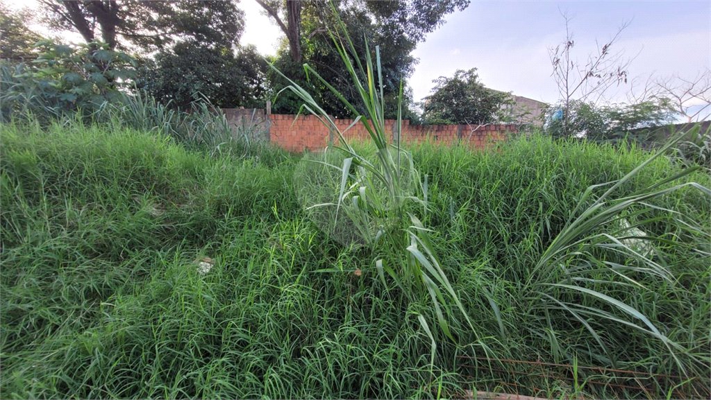 Terreno Residencial no Aracy