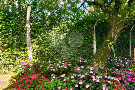 Chácara no Condomínio Vale das Laranjeiras em Indaiatuba SP - Venda - R$ 3,600.000,00 - Locaçao - R$ 30.000,00 mais encargos - Linda, espaçosa, aconchegante, acabamento de alto padrão em rua tranquila e arborizada, em um dos Condomínios mais valorizados de Indaiatuba. Com fácil acesso as principa