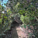 Casa à venda com 4 quartos no Centro, Piracicaba, SP