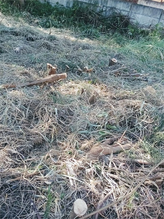 Terreno de 760m² Totalmente plano. Bairro Loteamento Vale das Flores, Atibaia, SP