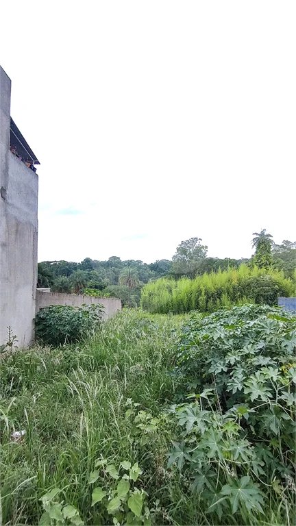 Lote comercial 452m² em na Av Isette Correa Fontão