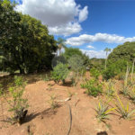 Excelente sitio para venda.