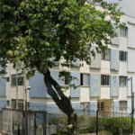 Apartamento à venda com 3 quartos em Conjunto Residencial Butantã, São Paulo, SP