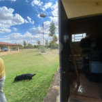Excelente sitio para venda.