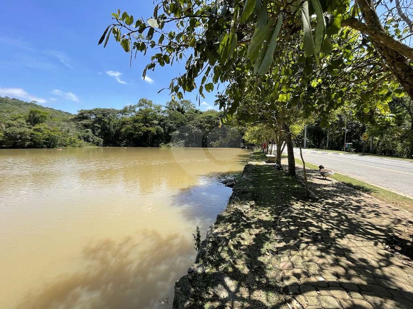 Casa de Alto Padrão à Venda e Locação - Condomínio Vila Verde