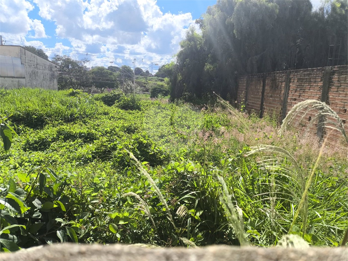 Terreno no Jardim Ricetti São Carlos - SP