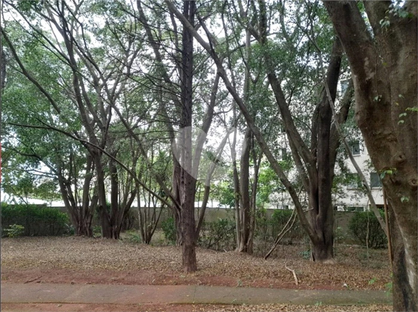 Apartamento à Venda no Edifício Mont Park – Bairro Jockey