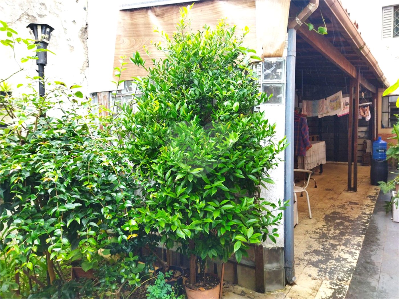 Casa á venda - Jabaquara