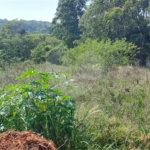 Terreno em Atibaia com 3.410 metros, pronto para construir, topografia plana, excelente localização