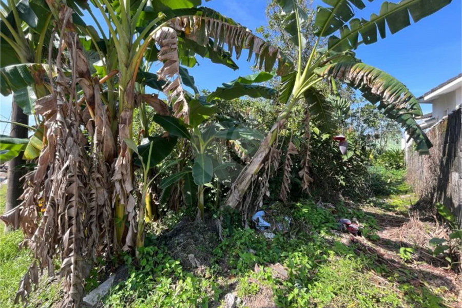 Terreno à venda em Morada da Praia, Bertioga, SP