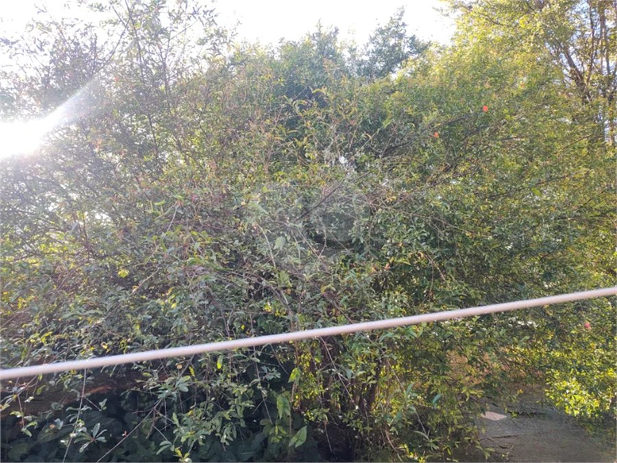 OPORTUNIDADE: Terreno à venda no Jardim Maristela com 250m2, 10 metros de frente!