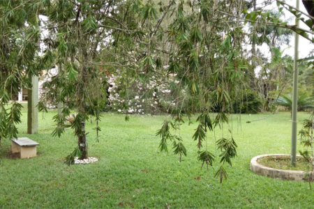Sitio para venda no bairro Chácara Leila (Varjão)