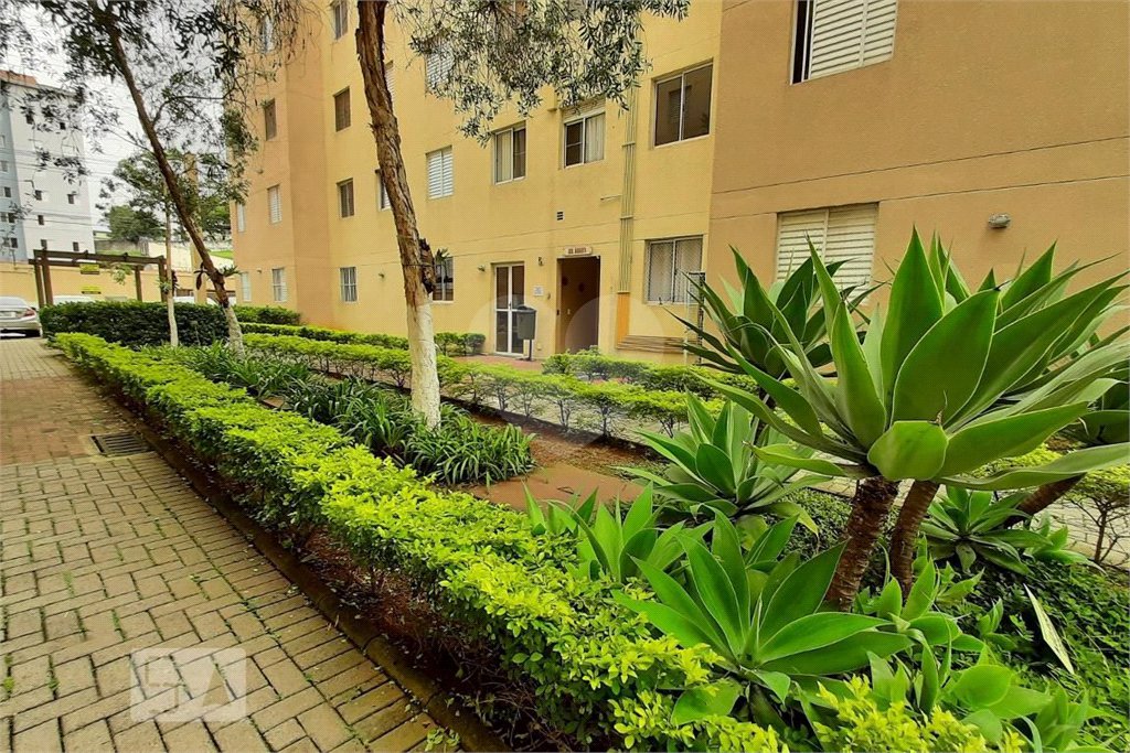 Apartamento com 2 dormitórios na Vila Alpina
