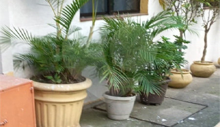 Apartamento à venda com 1 quarto em Bela Vista, São Paulo, SP