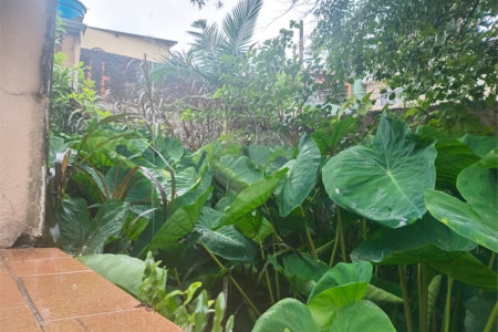 Casa Térrea à venda com 4 quartos em Vila Pita, São Paulo, SP