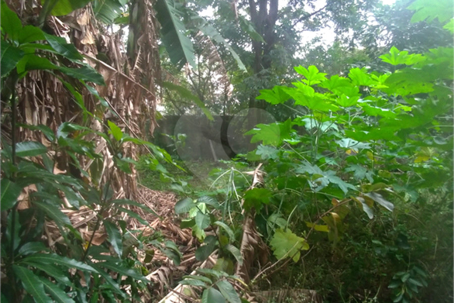 Terreno à venda em Casa Verde, São Paulo, SP