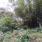 Terreno à venda em Vila Junqueira, São Roque, SP