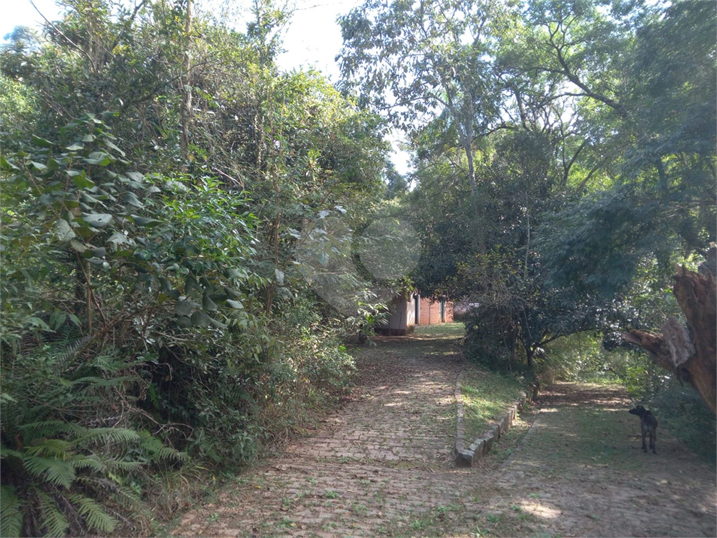 Sítio à venda em Chácara São João, Campo Limpo Paulista, SP