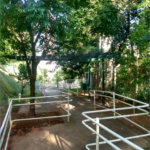 Apartamento à venda com 2 quartos em Jardim Monte Santo, Cotia - SP