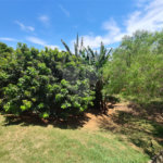 Chácara à venda com 4 quartos, sendo 2 suítes, em Parque Valinhos, Valinhos, SP