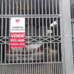 Sobrado à venda com 3 quartos, sendo 1 suíte, em Vila Mazzei, São Paulo, SP