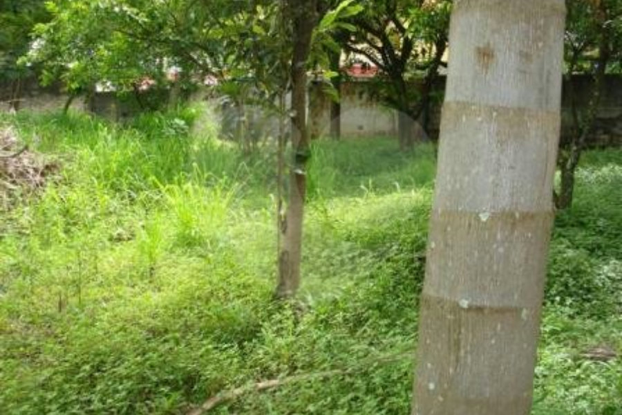 Terreno à venda em Tremembé, São Paulo, SP