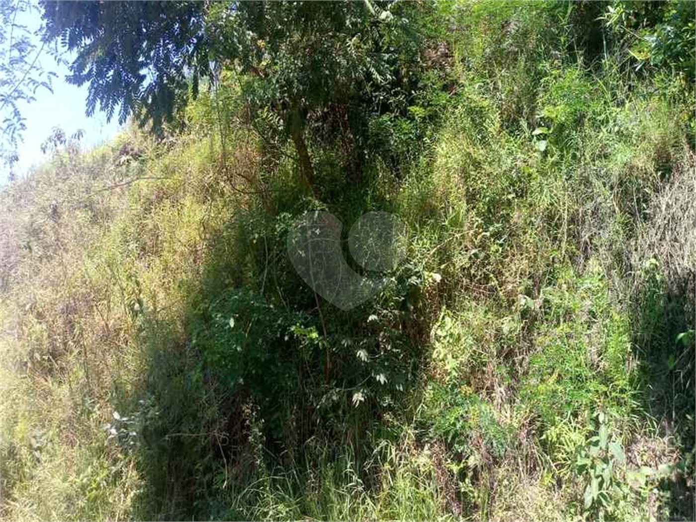 Terreno à venda em Vila São Paulo, Mogi das Cruzes, SP