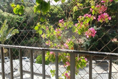 Apartamento para alugar com 4 quartos em Jardim Colombo, São Paulo, SP