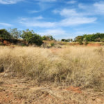 Área de Terra para alugar em Jardim Zavanella, Araraquara, SP