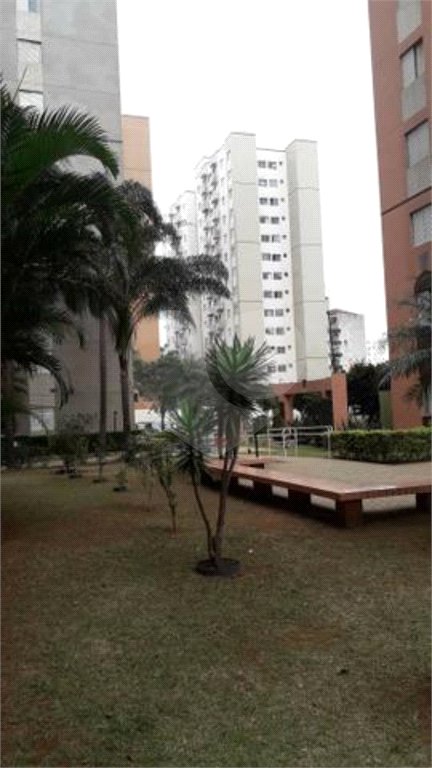 Apartamento à venda com 3 quartos, sendo 1 suíte, em Cambuci, São Paulo, SP