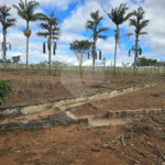 Chácara à venda com 5 quartos em Estância Conceição, Itapetininga, SP