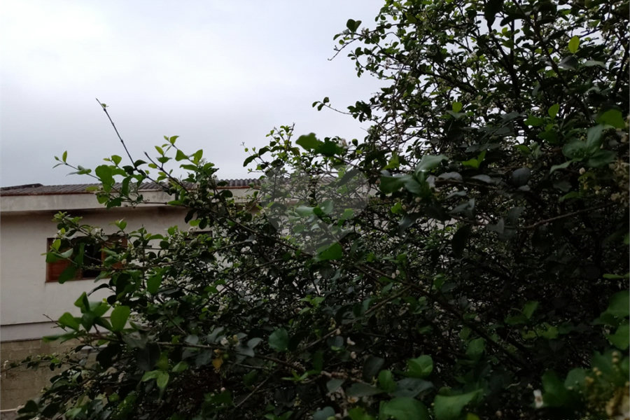 Oportunidade Incrível no Bairro Jardim Líbano!