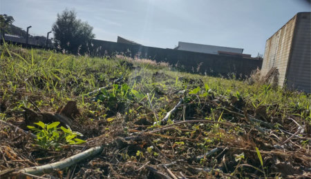 Terreno à venda em Jardim Novo Cambuí, Hortolândia, SP