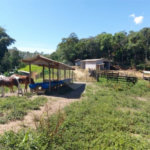 Sítio à venda com 5 quartos, sendo 1 suíte,  em Área Rural de Tapiraí, Tapiraí, SP