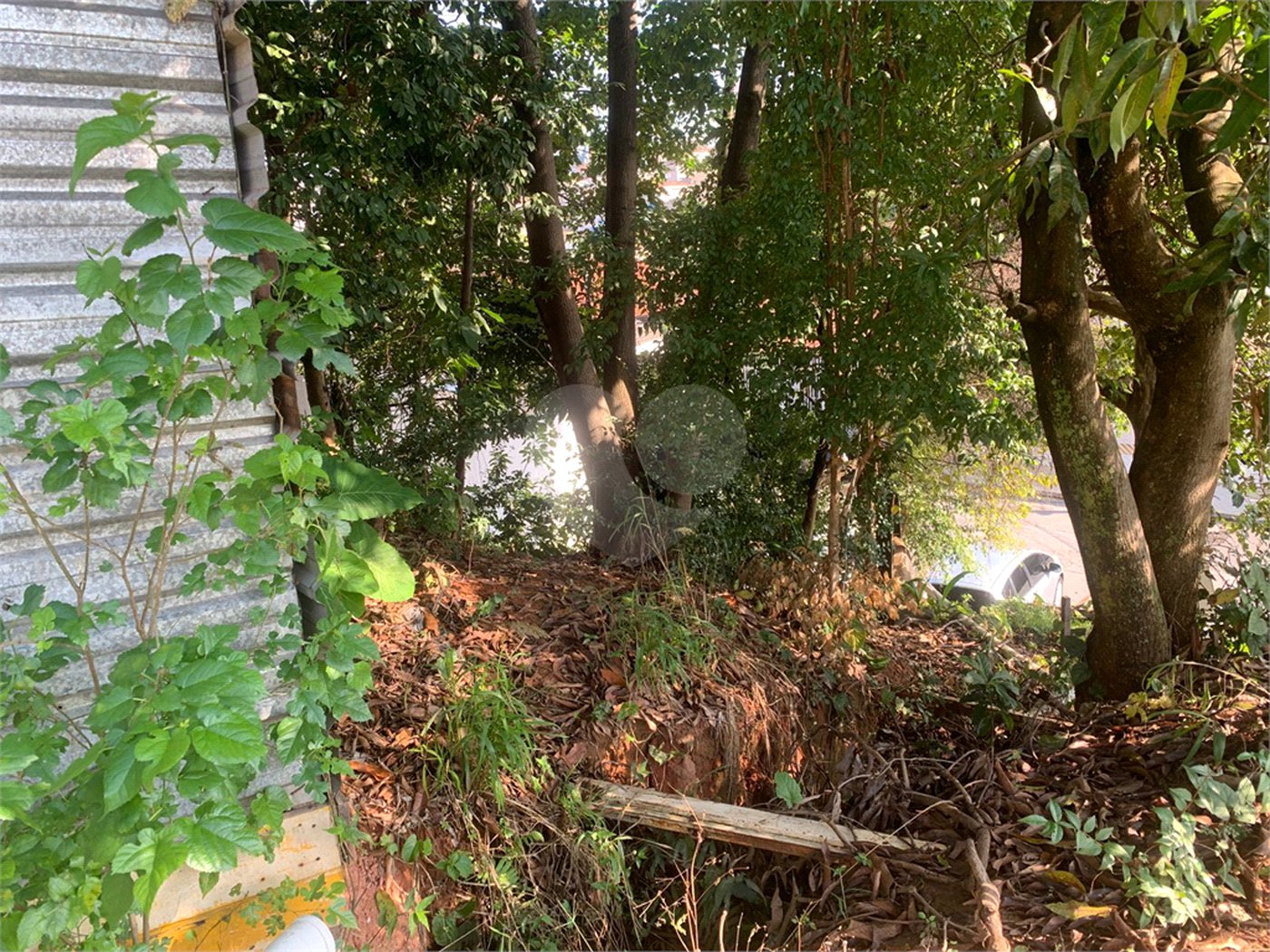 Terreno à venda em Lauzane Paulista, São Paulo, SP
