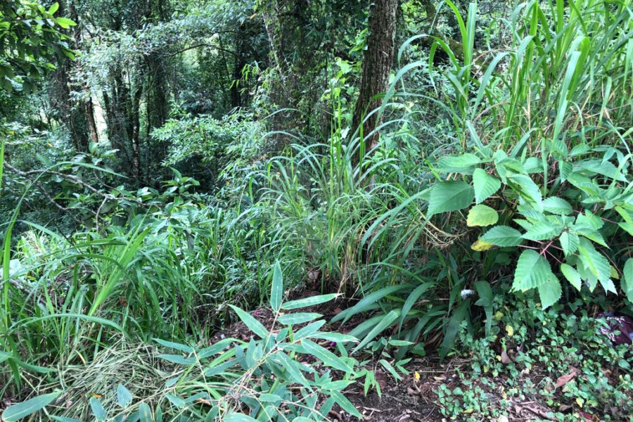 Terreno à venda no condomínio Gleba E2, Mairiporã - SP