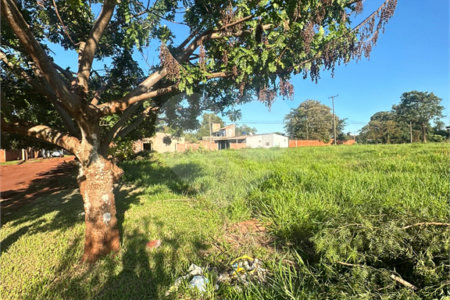 Terreno à venda em Pedro Juan Caballero, Amambay
