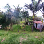 Chácara à venda com 3 quartos, sendo 1 suíte, em Vale das Flores (canguera), São Roque, SP
