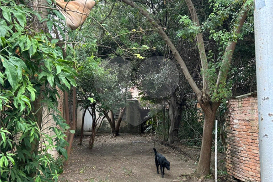 Terreno à venda ou para alugar em Perdizes, São Paulo, SP
