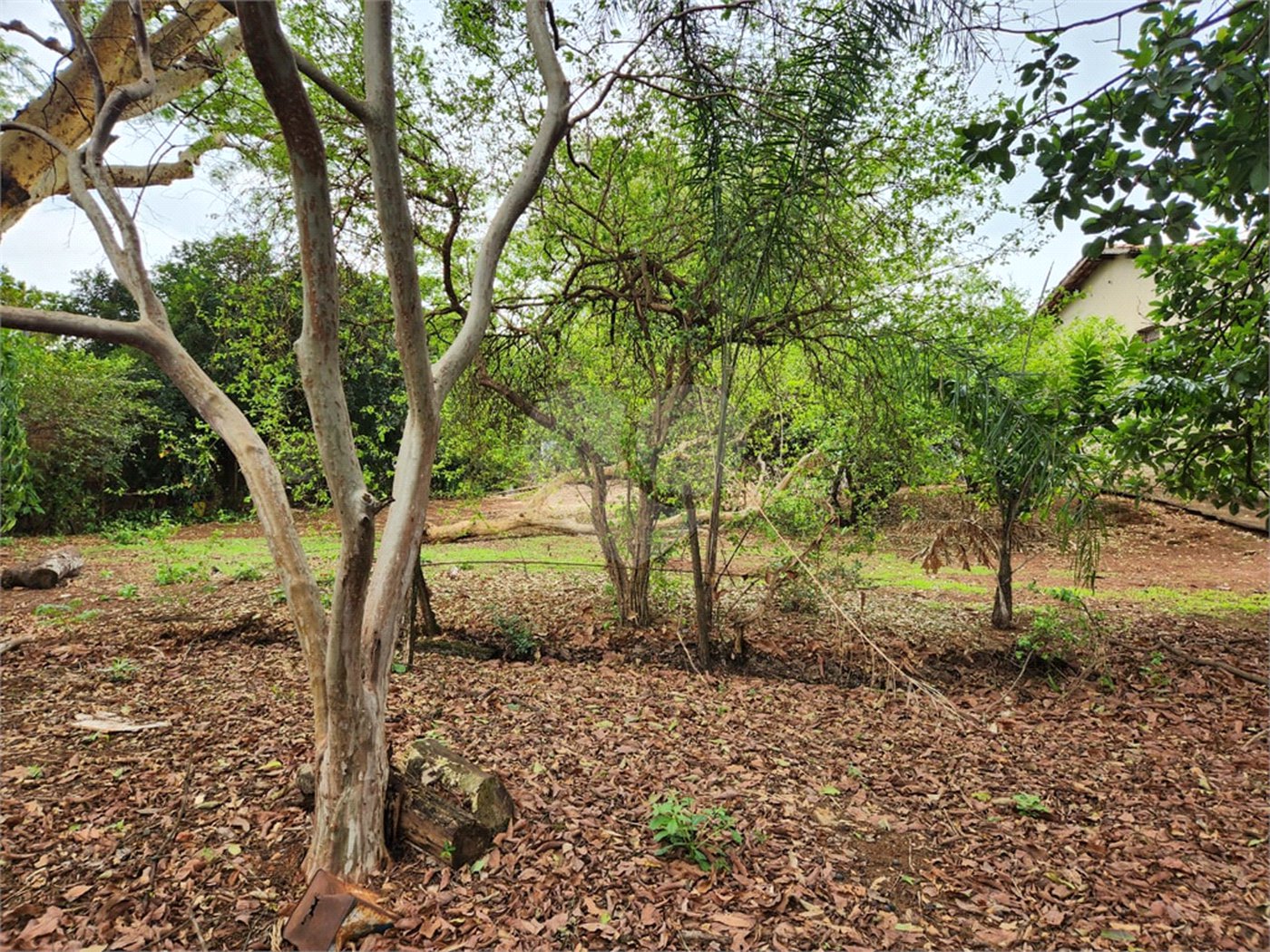 Chácara à venda com 2 quartos em Jardim Califórnia, Araraquara, SP